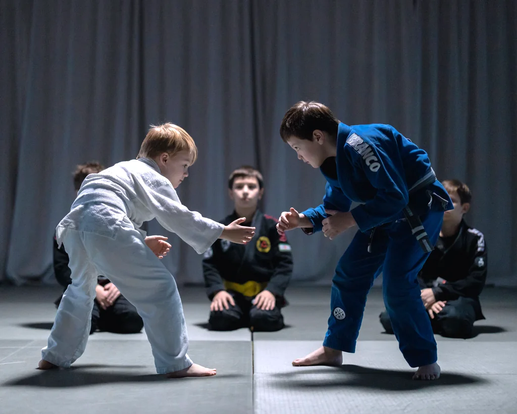 Self Defense — illustrative program artwork
